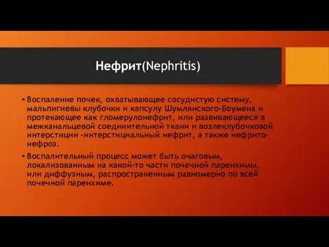 Нефрит(Nephritis) Воспаление почек, охватывающее сосудистую систему, мальпигиевы клубочки и капсулу Шумлянского-Боумена и