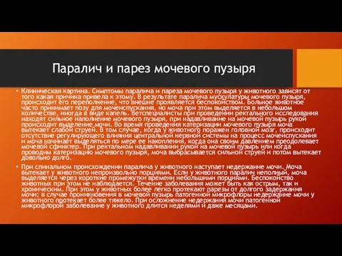 Клиническая картина. Симптомы паралича и пареза мочевого пузыря у животного зависят от