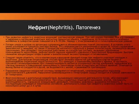 При развитии нефрита у животных возникает азотемическая уремия. При ней диурез понижен.