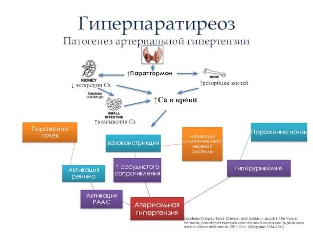 Гиперпаратиреоз Патогенез артериальной гипертензии ↑Паратгормон ↑Са в крови ↓ экскреции Са ↑резорбции