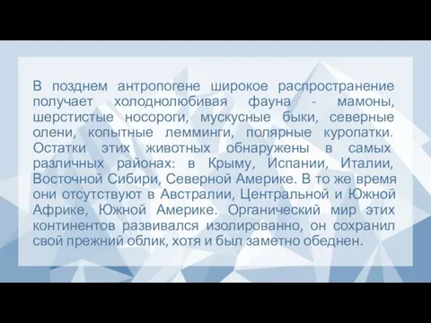 В позднем антропогене широкое распространение получает холоднолюбивая фауна - мамоны, шерстистые носороги,