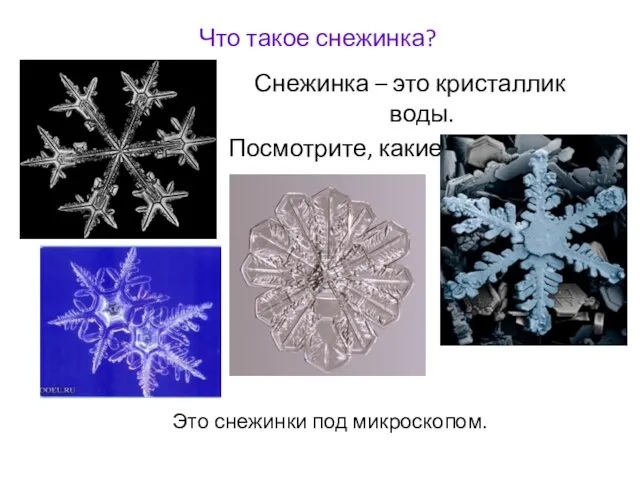 Что такое снежинка? Снежинка – это кристаллик воды. Посмотрите, какие они бывают! Это снежинки под микроскопом.