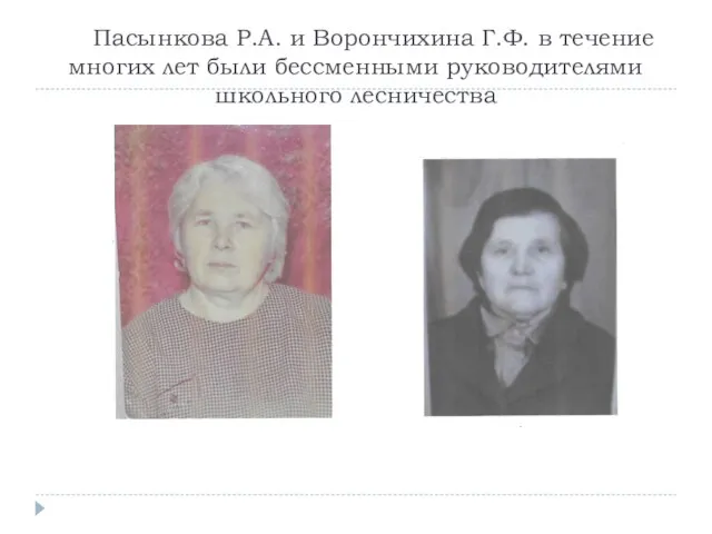 Пасынкова Р.А. и Ворончихина Г.Ф. в течение многих лет были бессменными руководителями школьного лесничества