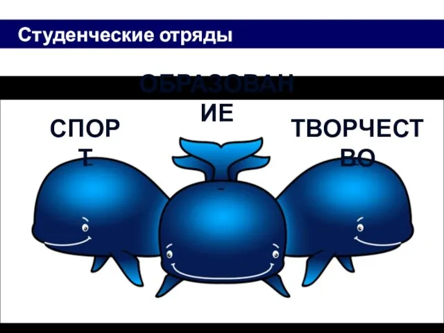 Студенческие отряды сегодня СПОРТ ОБРАЗОВАНИЕ ТВОРЧЕСТВО