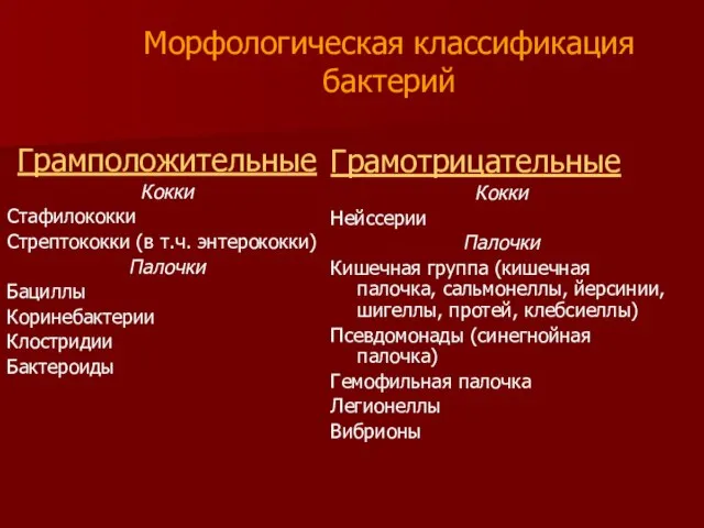 Морфологическая классификация бактерий Грамположительные Кокки Стафилококки Стрептококки (в т.ч. энтерококки) Палочки Бациллы