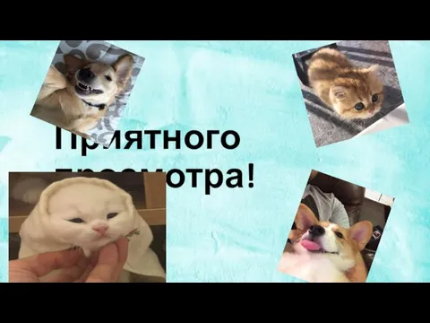 Приятного просмотра!