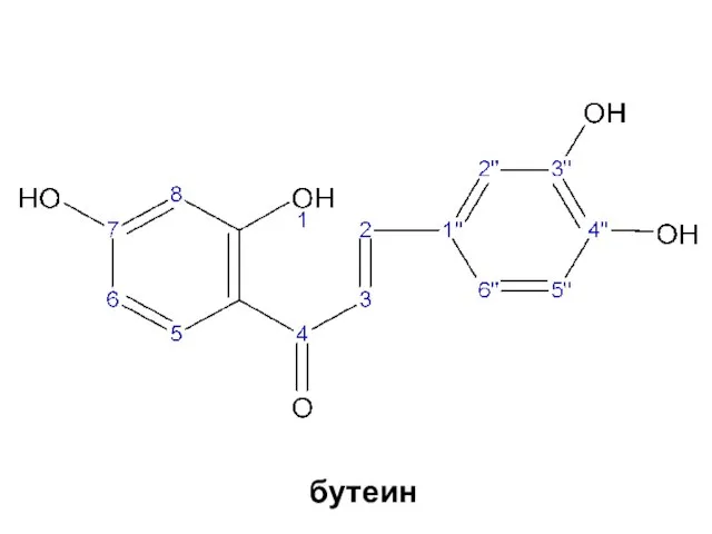 бутеин