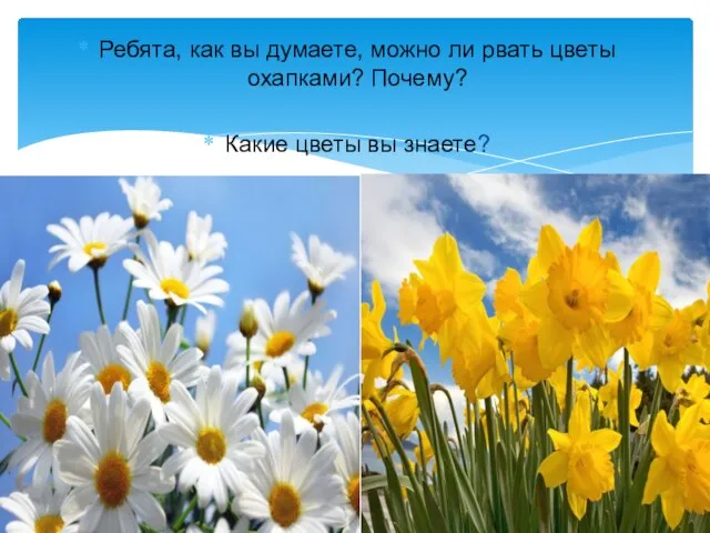 Ребята, как вы думаете, можно ли рвать цветы охапками? Почему? Какие цветы вы знаете?