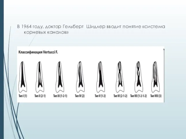 В 1964 году, доктор Гельберт Шидлер вводит понятие «система корневых каналов»
