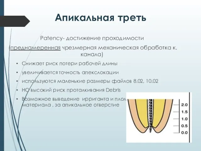 Апикальная треть Patency- достижение проходимости (преднамеренная чрезмерная механическая обработка к. канала) Снижает