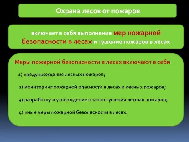 Охрана лесов от пожаров включает в себя выполнение мер пожарной безопасности в