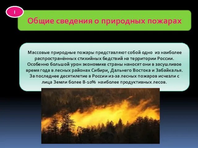 Общие сведения о природных пожарах I Массовые природные пожары представляют собой одно