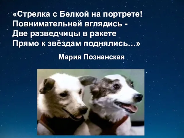 «Стрелка с Белкой на портрете! Повнимательней вглядись - Две разведчицы в ракете