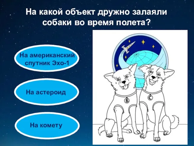 На какой объект дружно залаяли собаки во время полета? На американский спутник