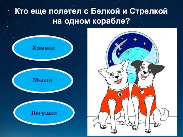 Кто еще полетел с Белкой и Стрелкой на одном корабле? Хомяки Мыши Лягушки