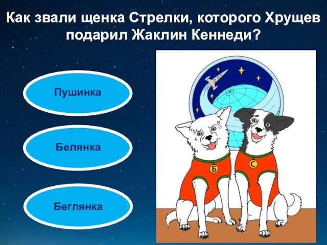 Как звали щенка Стрелки, которого Хрущев подарил Жаклин Кеннеди? Пушинка Белянка Беглянка