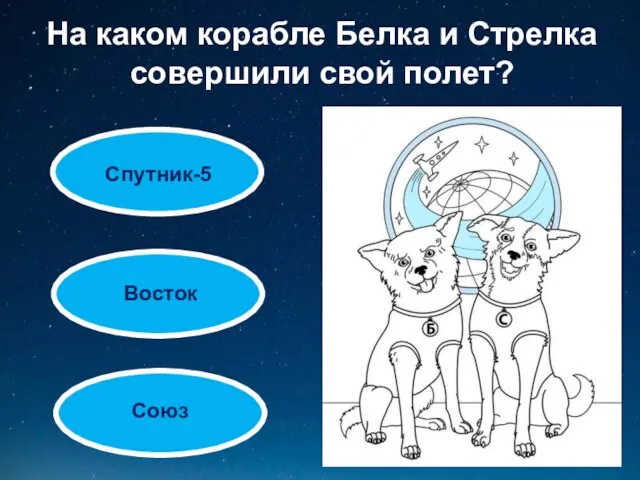 На каком корабле Белка и Стрелка совершили свой полет? Союз Восток Спутник-5