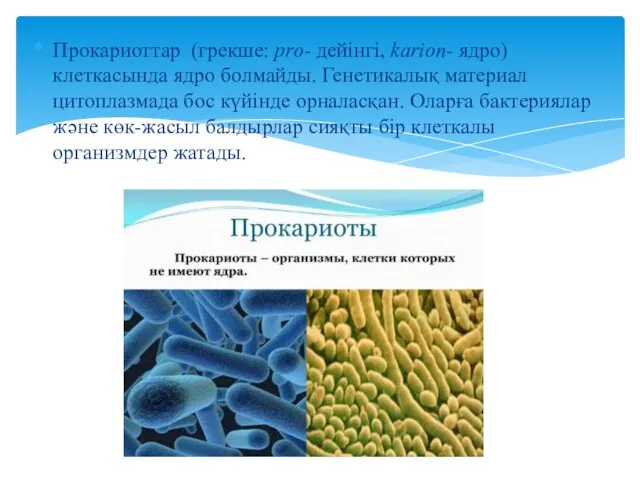 Прокариоттар (грекше: pro- дейінгі, karion- ядро) клеткасында ядро болмайды. Генетикалық материал цитоплазмада