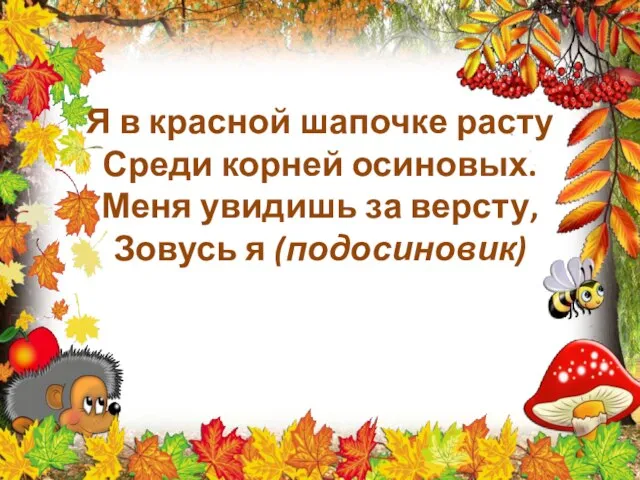 Я в красной шапочке расту Среди корней осиновых. Меня увидишь за версту, Зовусь я (подосиновик)