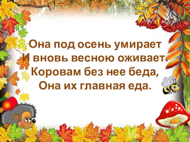 Она под осень умирает И вновь весною оживает. Коровам без нее беда, Она их главная еда.