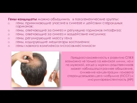 Гены-кандидаты можно объединить в патогенетические группы: гены, принимающие участие в синтезе и