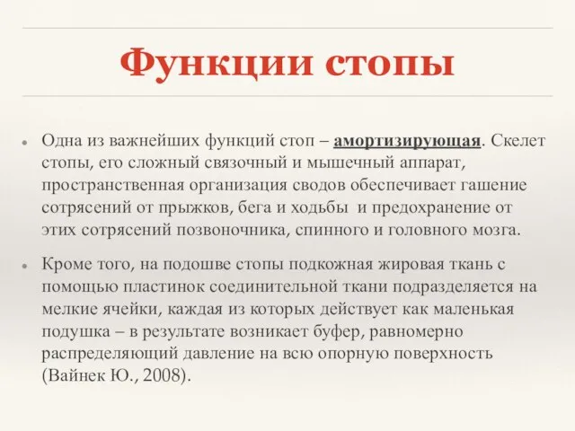 Функции стопы Одна из важнейших функций стоп – амортизирующая. Скелет стопы, его