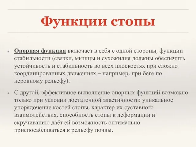 Функции стопы Опорная функция включает в себя с одной стороны, функции стабильности