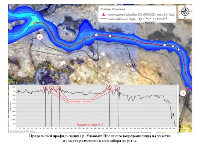 Продольный профиль залива р. Улыбыш Пронского водохранилища на участке от места размещения