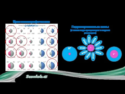 Кристаллографические радиусы Гидратированные ионы (в таком виде сусществуют в водных растворах) + I.1. Схема ионного обмена