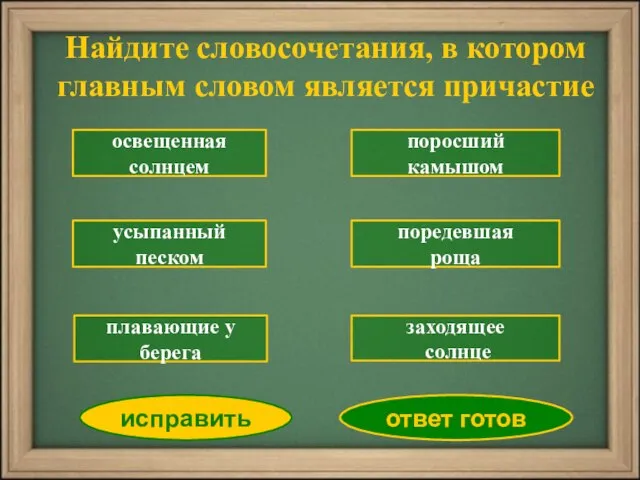 освещенная солнцем усыпанный песком поросший камышом поредевшая роща заходящее солнце исправить ответ