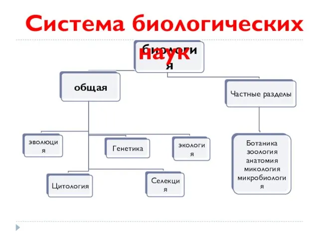 Система биологических наук