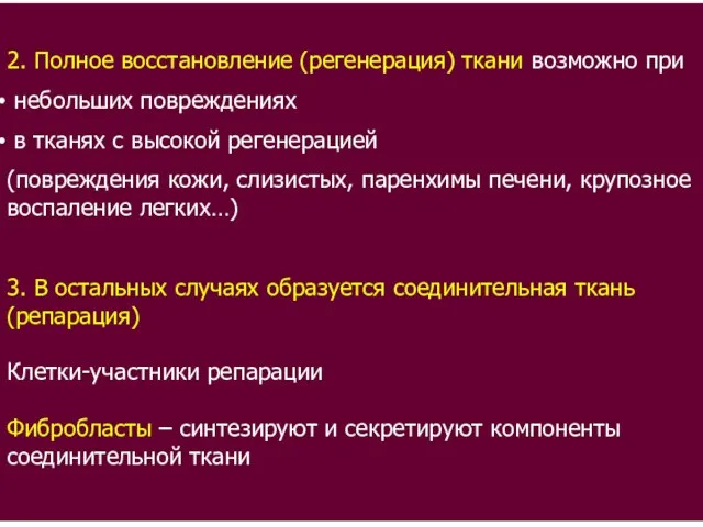 2. Полное восстановление (регенерация) ткани возможно при небольших повреждениях в тканях с