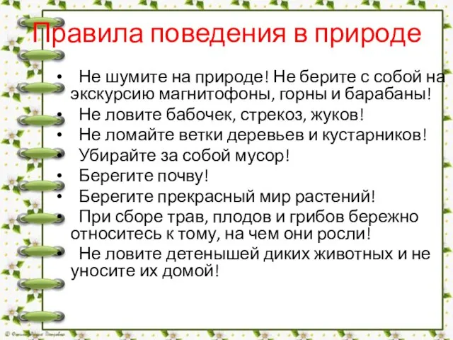 Правила поведения в природе Не шумите на природе! Не берите с собой