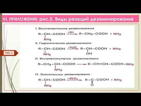 VI. ПРИЛОЖЕНИЕ: рис.5. Виды реакций дезаминирования РИС.5