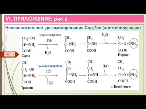 VI. ПРИЛОЖЕНИЕ: рис.6. : Неокислительное дезаминирование Сер,Тре (элиминирующее) РИС. 6