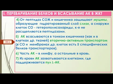 I. ПЕРЕВАРИВАНИЕ БЕЛКОВ И ВСАСЫВАНИЕ АК В ЖКТ 4) От пептидаз СОЖ