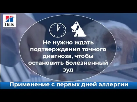 Не нужно ждать подтверждения точного диагноза, чтобы остановить болезненный зуд Применение с первых дней аллергии