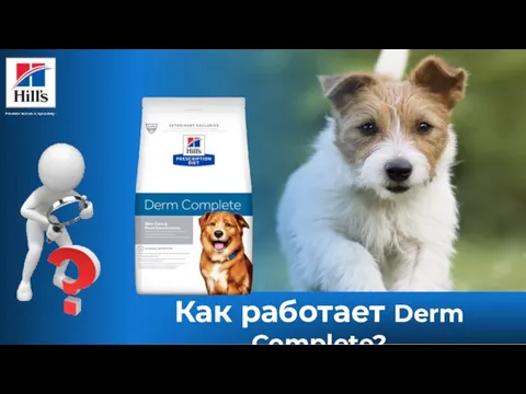 Как работает Derm Complete?