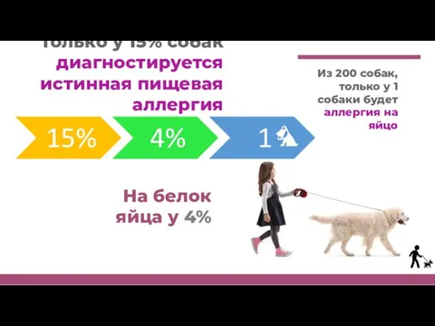 Только у 15% собак диагностируется истинная пищевая аллергия На белок яйца у