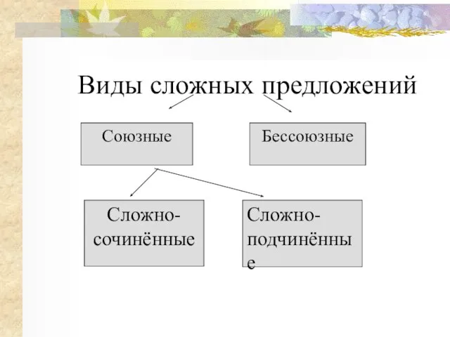 Виды сложных предложений Союзные Сложно Бессоюзные Сложно- сочинённые Сложно- подчинённые