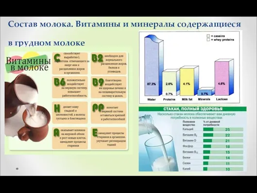 Состав молока. Витамины и минералы содержащиеся в грудном молоке