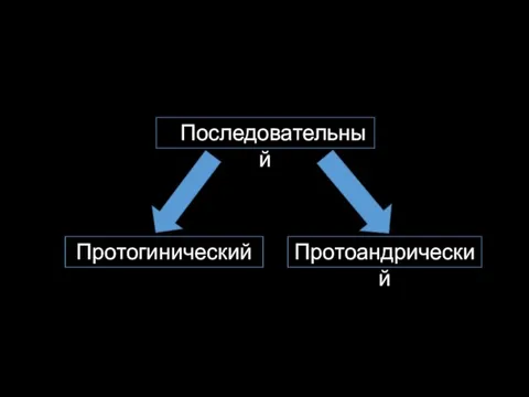 ППоследовательный Протогинический Протоандрический