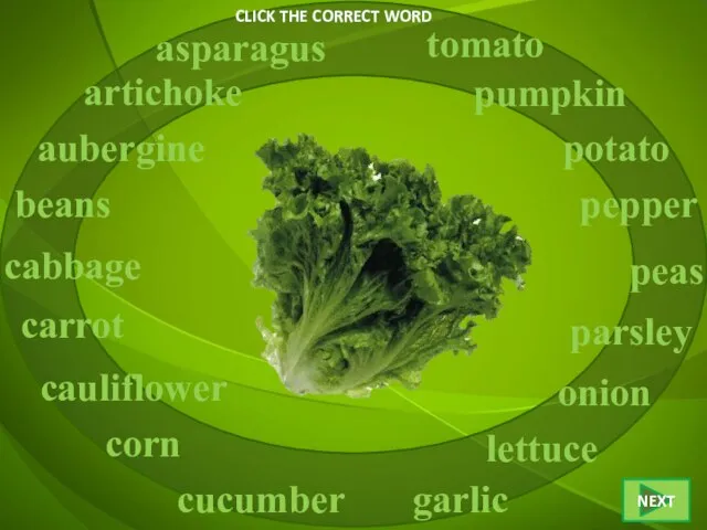 CLICK THE CORRECT WORD lettuce asparagus artichoke aubergine beans cabbage corn carrot