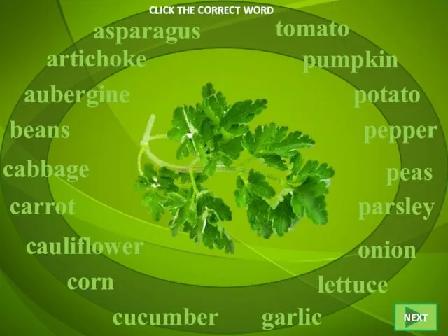 CLICK THE CORRECT WORD parsley asparagus artichoke aubergine beans cabbage corn carrot