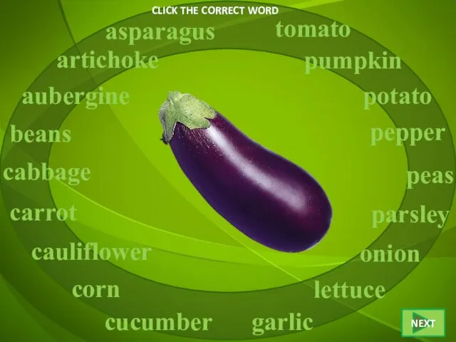CLICK THE CORRECT WORD aubergine asparagus artichoke beans cabbage carrot cucumber cauliflower