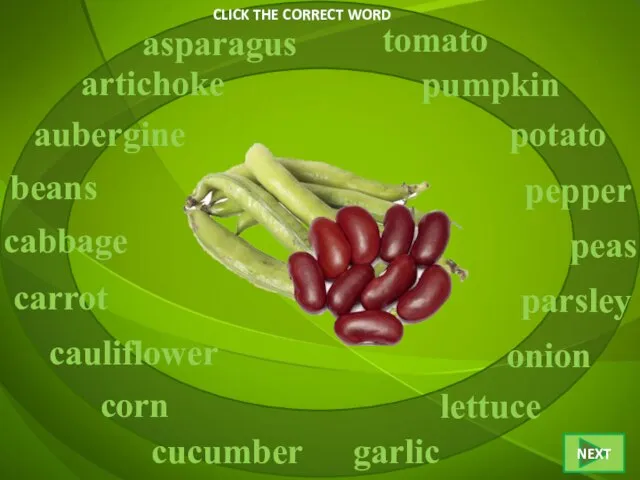 CLICK THE CORRECT WORD beans asparagus artichoke aubergine cabbage carrot cucumber cauliflower