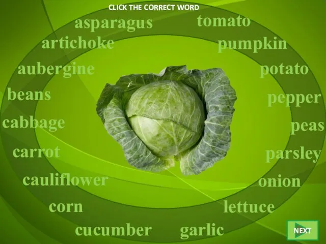 CLICK THE CORRECT WORD cabbage asparagus artichoke aubergine beans carrot cucumber cauliflower