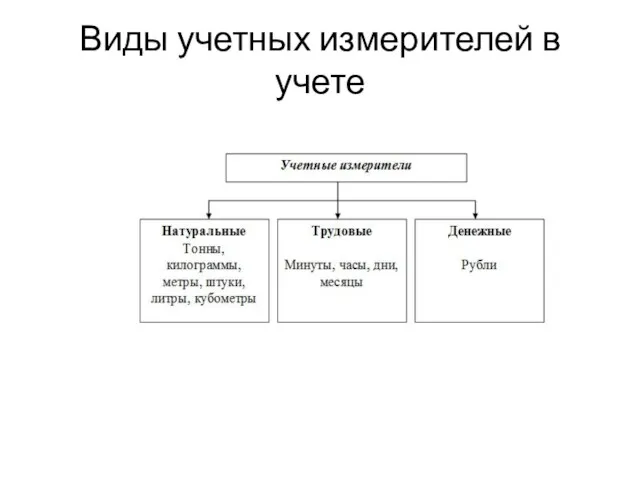 Виды учетных измерителей в учете