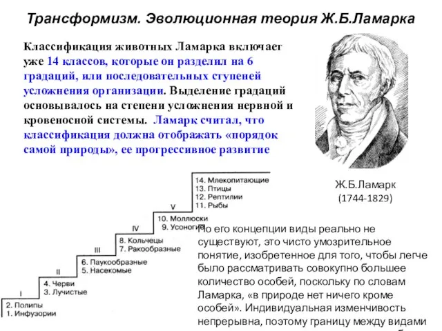 Классификация животных Ламарка включает уже 14 классов, которые он разделил на 6