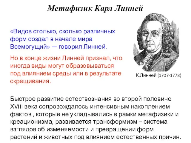 «Видов столько, сколько различных форм создал в начале мира Всемогущий» — говорил